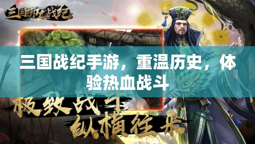 三国战纪手游，重温历史，体验热血战斗