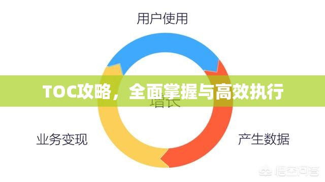 TOC攻略，全面掌握与高效执行