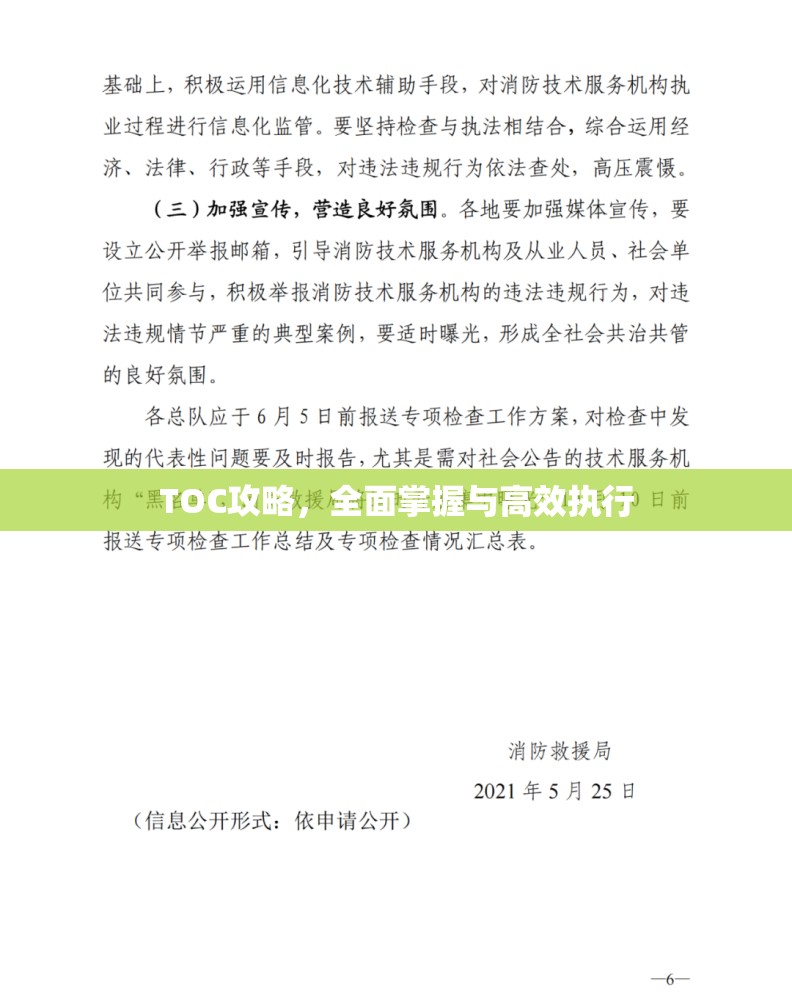 TOC攻略，全面掌握与高效执行，TOC攻略，全面掌握与高效执行的方法论