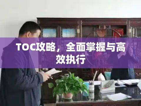 TOC攻略，全面掌握与高效执行