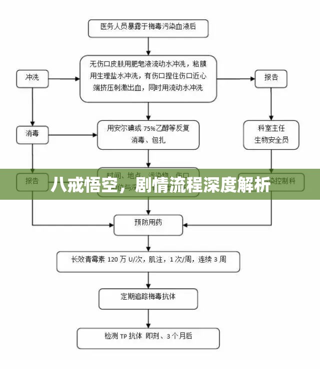 八戒悟空，剧情流程深度解析