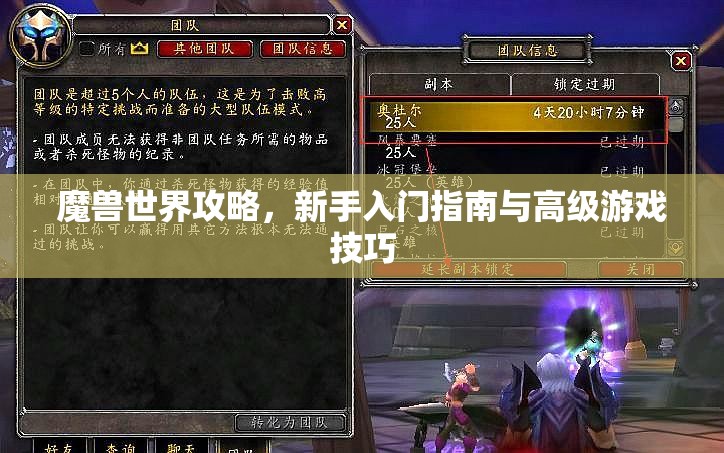 魔兽世界攻略，新手入门指南与高级游戏技巧，魔兽世界攻略大全，新手入门指南与高级游戏技巧全解析