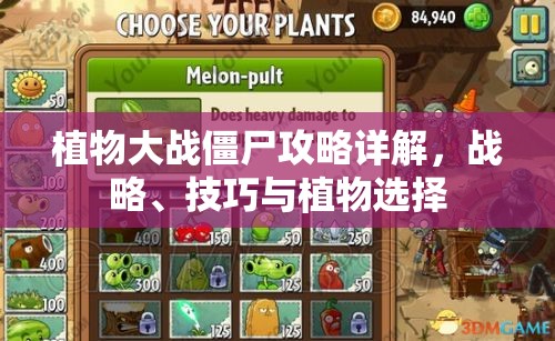 植物大战僵尸攻略详解，战略、技巧与植物选择，植物大战僵尸全面攻略，战略、技巧与最佳植物选择详解