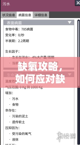 缺氧攻略，如何应对缺氧状况并寻求解决方案，缺氧应对指南，解决缺氧状况的全面攻略