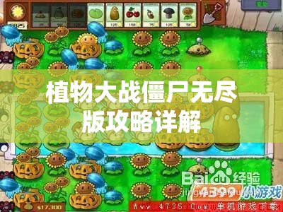 植物大战僵尸无尽版攻略详解