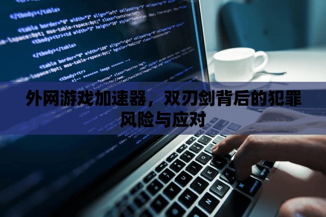 外网游戏加速器，双刃剑背后的犯罪风险与应对，外网游戏加速器，双刃剑背后的犯罪风险及应对策略