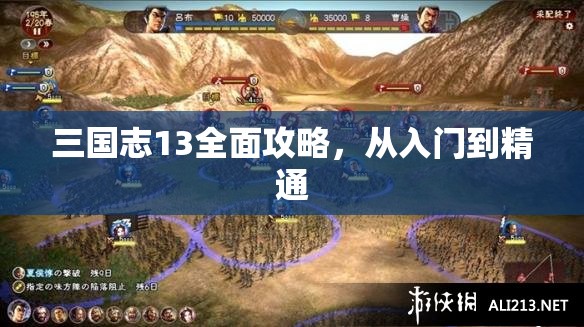 三国志13全面攻略，从入门到精通