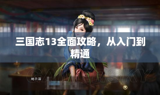 三国志13全面攻略，从入门到精通