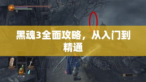 黑魂3全面攻略，从入门到精通