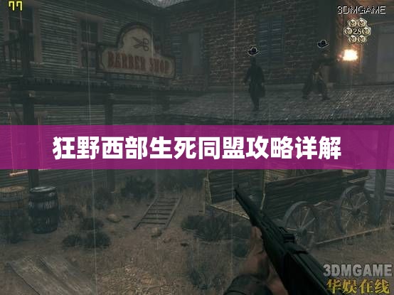 狂野西部生死同盟攻略详解