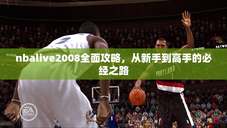 nbalive2008全面攻略，从新手到高手的必经之路，nbalive2008，从新手到高手的全方位攻略指南