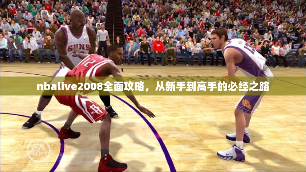 nbalive2008全面攻略，从新手到高手的必经之路