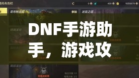 DNF手游助手，游戏攻略与辅助工具的综合平台