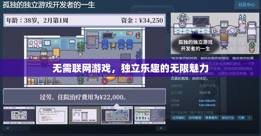 无需联网游戏，独立乐趣的无限魅力