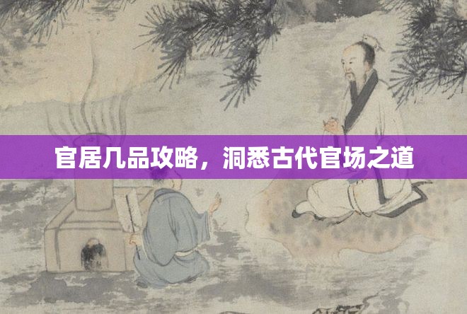 官居几品攻略，洞悉古代官场之道