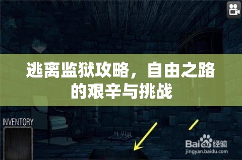 逃离监狱攻略，自由之路的艰辛与挑战，逃离监狱，自由之路的挑战与艰辛之旅