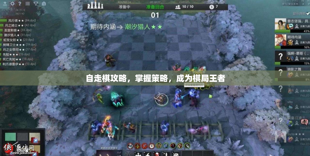 自走棋攻略，掌握策略，成为棋局王者，自走棋攻略大全，策略掌握，成为棋局王者之巅！