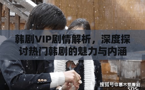 韩剧VIP剧情解析，深度探讨热门韩剧的魅力与内涵