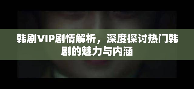 韩剧VIP剧情解析，深度探讨热门韩剧的魅力与内涵